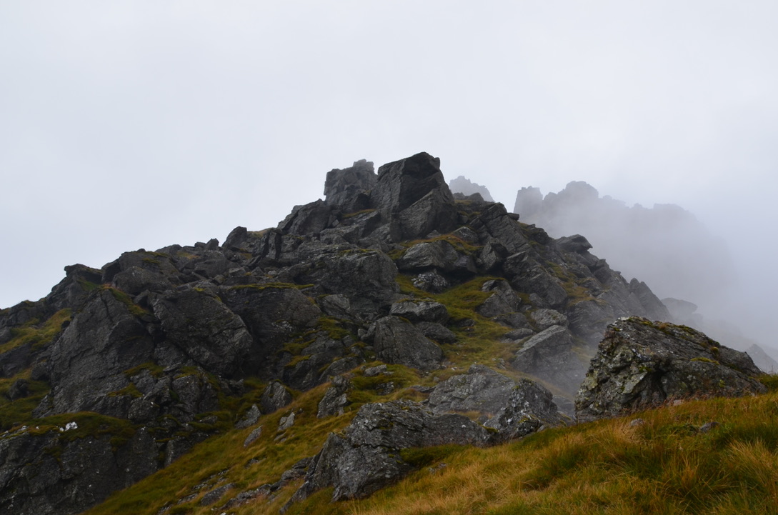 UNADJUSTEDNONRAW_thumb_1651