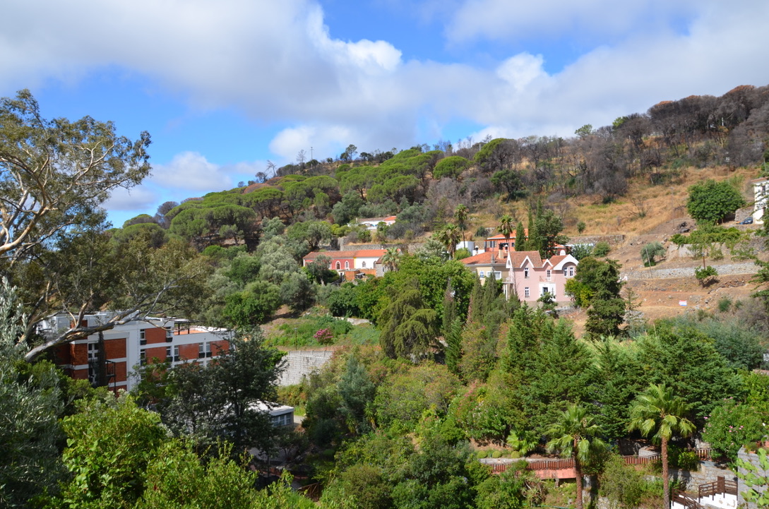 UNADJUSTEDNONRAW_thumb_155c