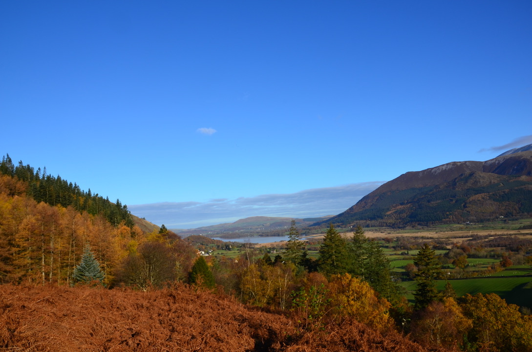 UNADJUSTEDNONRAW_thumb_1803