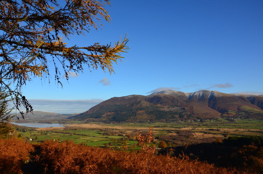 UNADJUSTEDNONRAW_thumb_1805