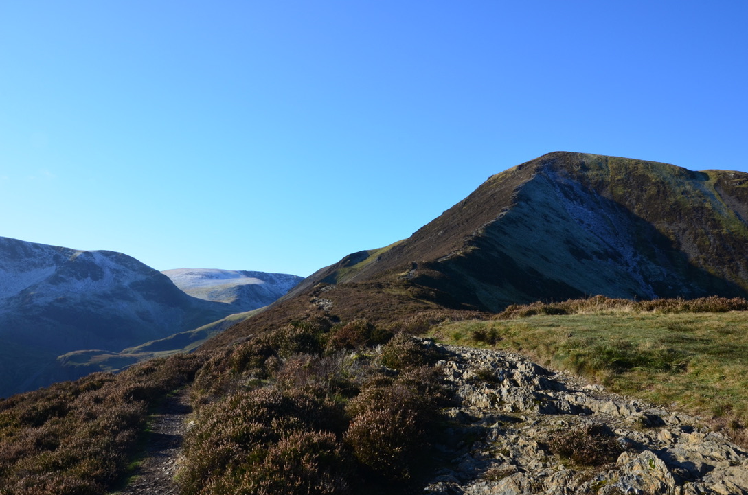 UNADJUSTEDNONRAW_thumb_1814