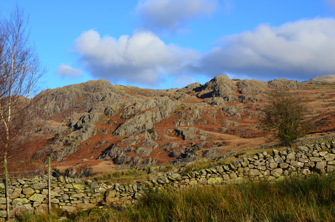 UNADJUSTEDNONRAW_thumb_1851