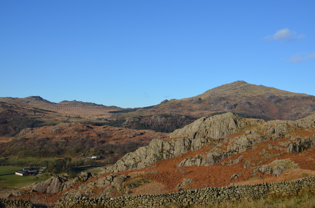 UNADJUSTEDNONRAW_thumb_185a