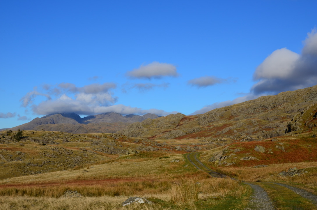 UNADJUSTEDNONRAW_thumb_185f