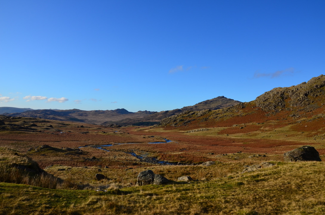 UNADJUSTEDNONRAW_thumb_1866