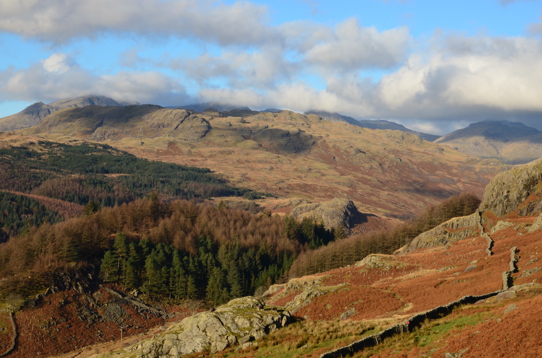 UNADJUSTEDNONRAW_thumb_1875