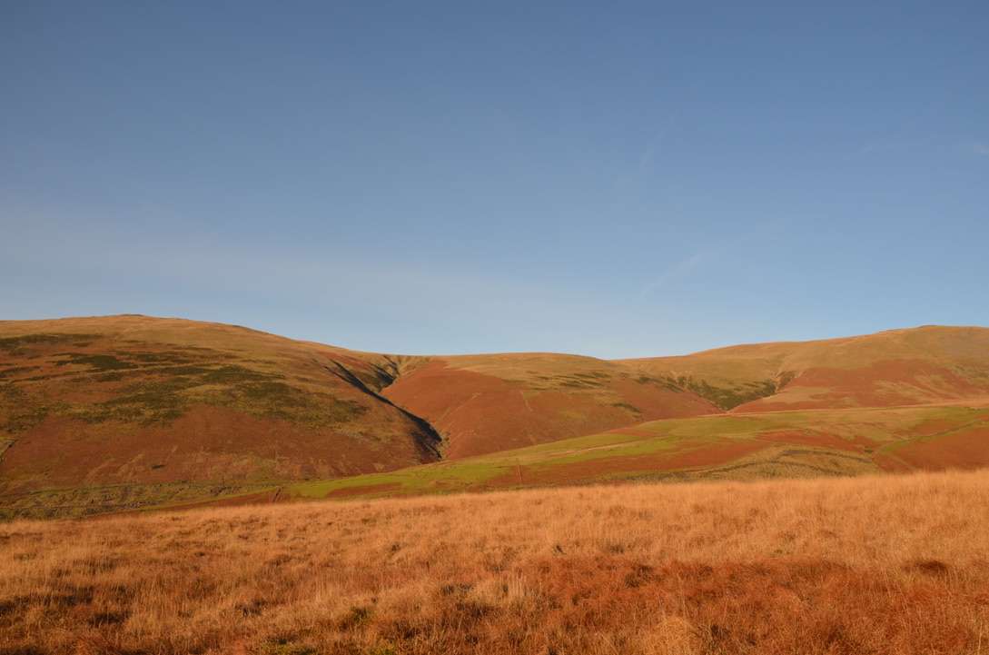 UNADJUSTEDNONRAW_thumb_1893