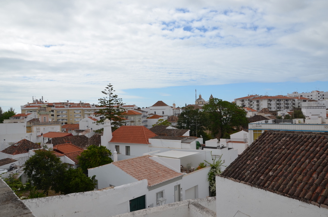 UNADJUSTEDNONRAW_thumb_1537