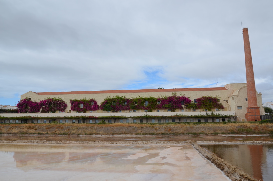 UNADJUSTEDNONRAW_thumb_1544