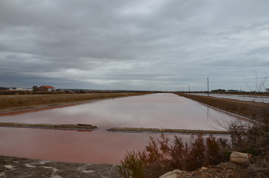 UNADJUSTEDNONRAW_thumb_154a