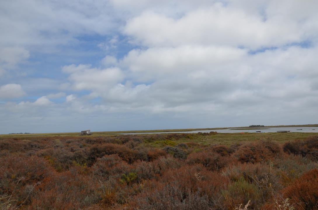 UNADJUSTEDNONRAW_thumb_1558