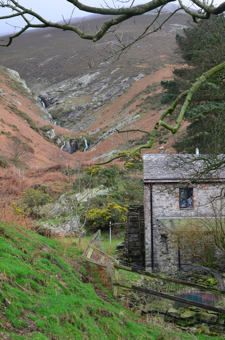 UNADJUSTEDNONRAW_thumb_1ba3