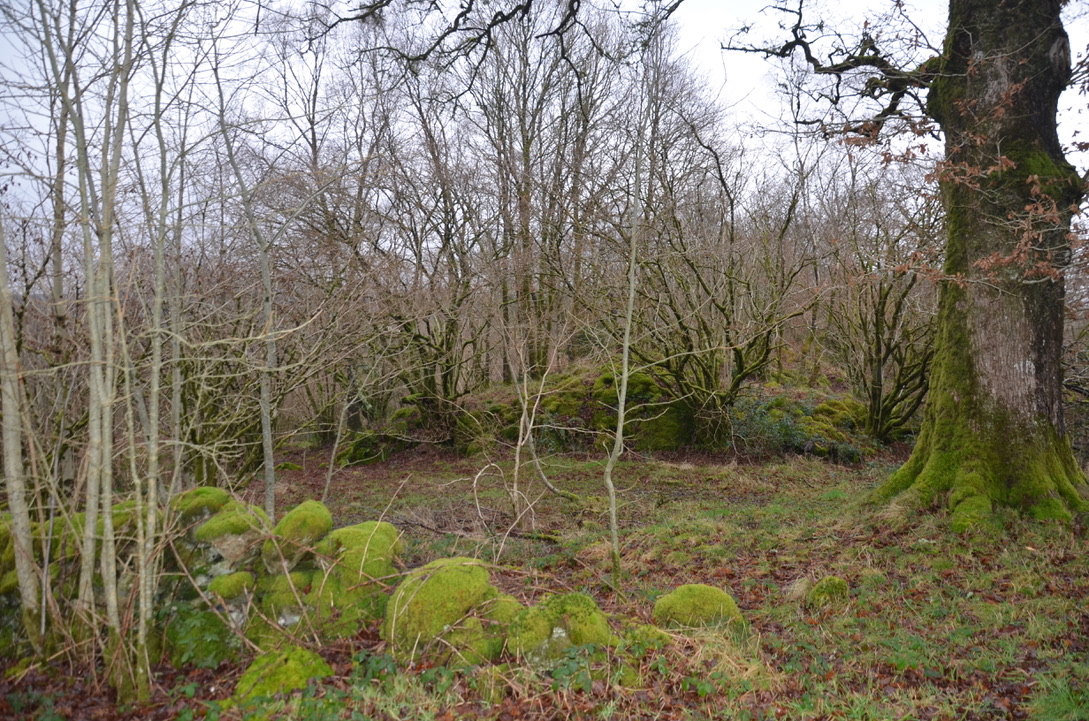 UNADJUSTEDNONRAW_thumb_1baf