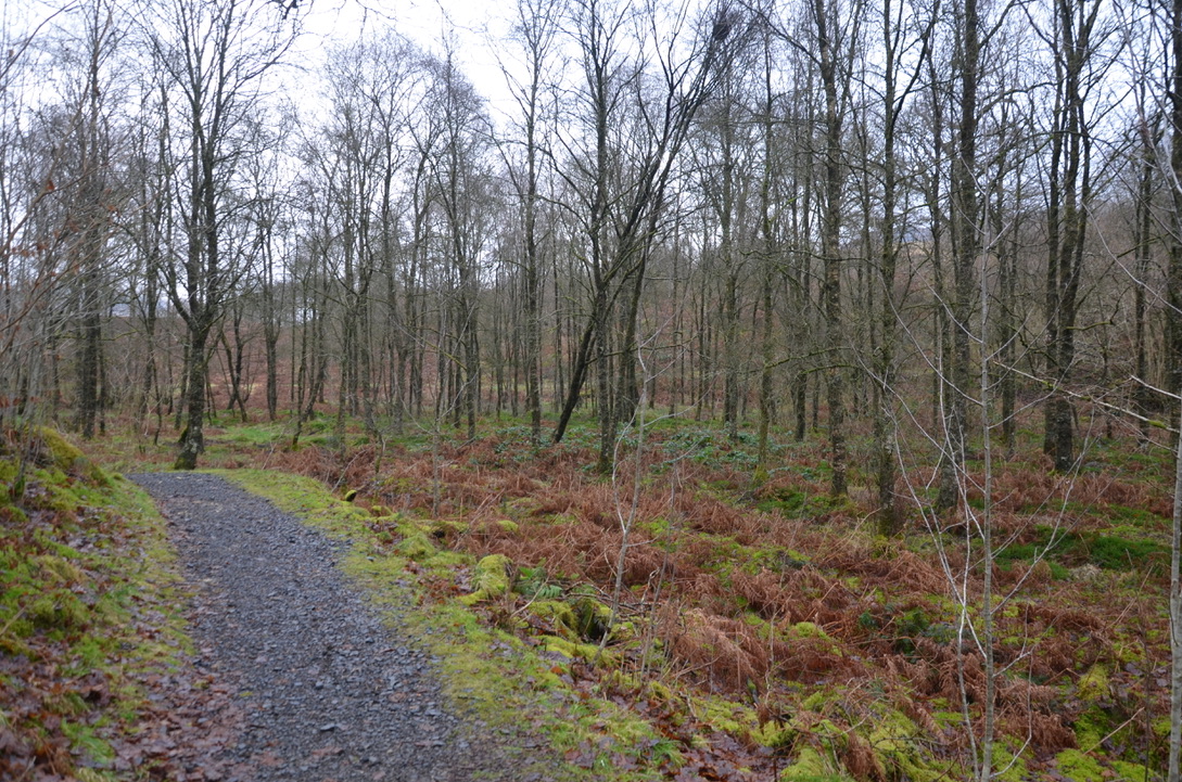 UNADJUSTEDNONRAW_thumb_1bb2