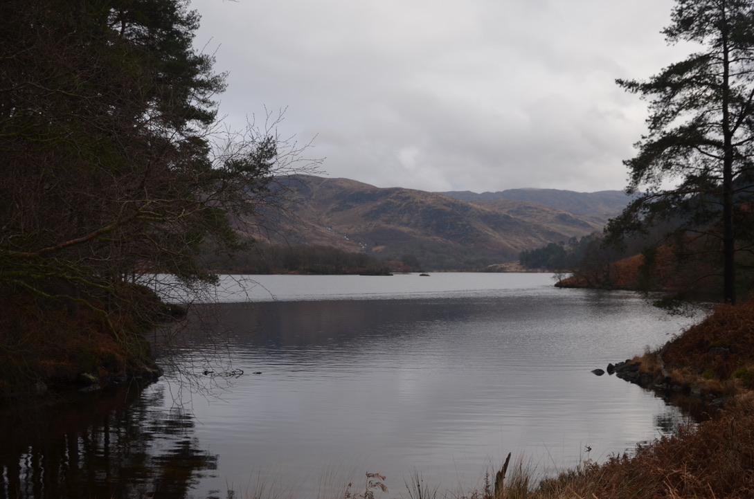 UNADJUSTEDNONRAW_thumb_1bbc