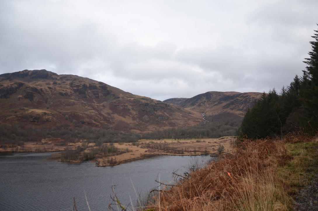 UNADJUSTEDNONRAW_thumb_1bc3