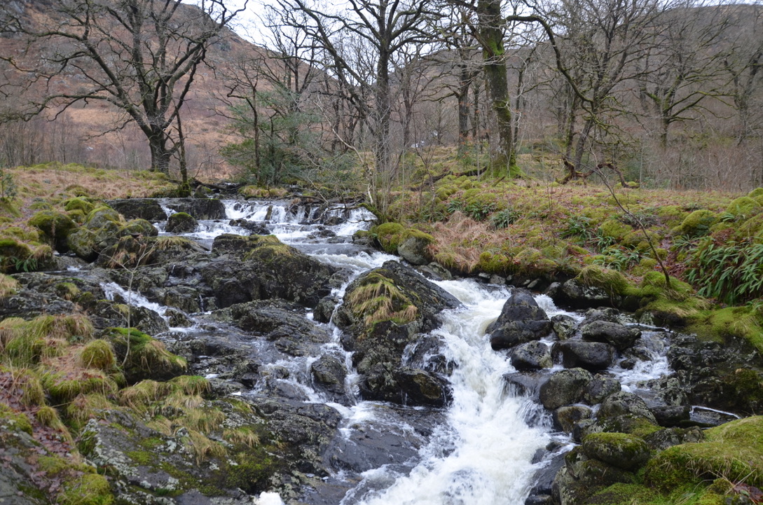 UNADJUSTEDNONRAW_thumb_1bc5