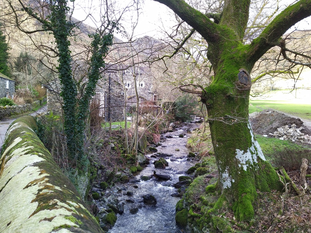 UNADJUSTEDNONRAW_thumb_1bde