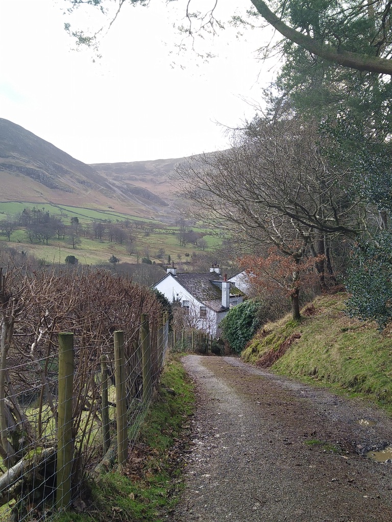 UNADJUSTEDNONRAW_thumb_1be0