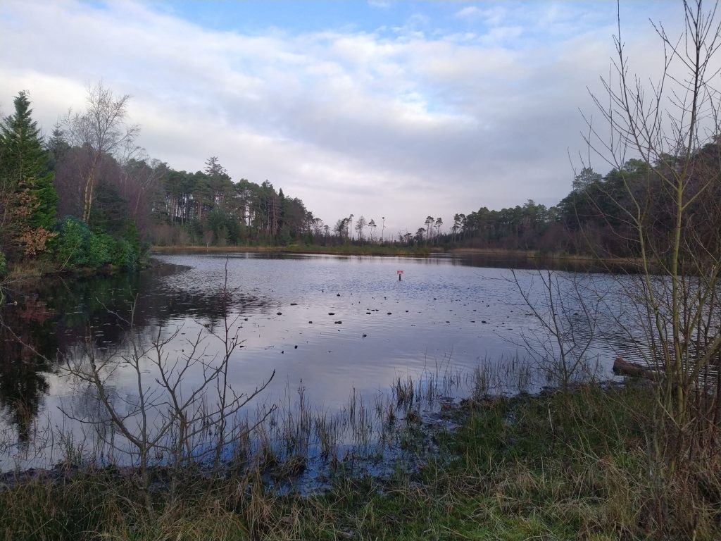 Muncaster tarn, Lake District, Cumbria, England