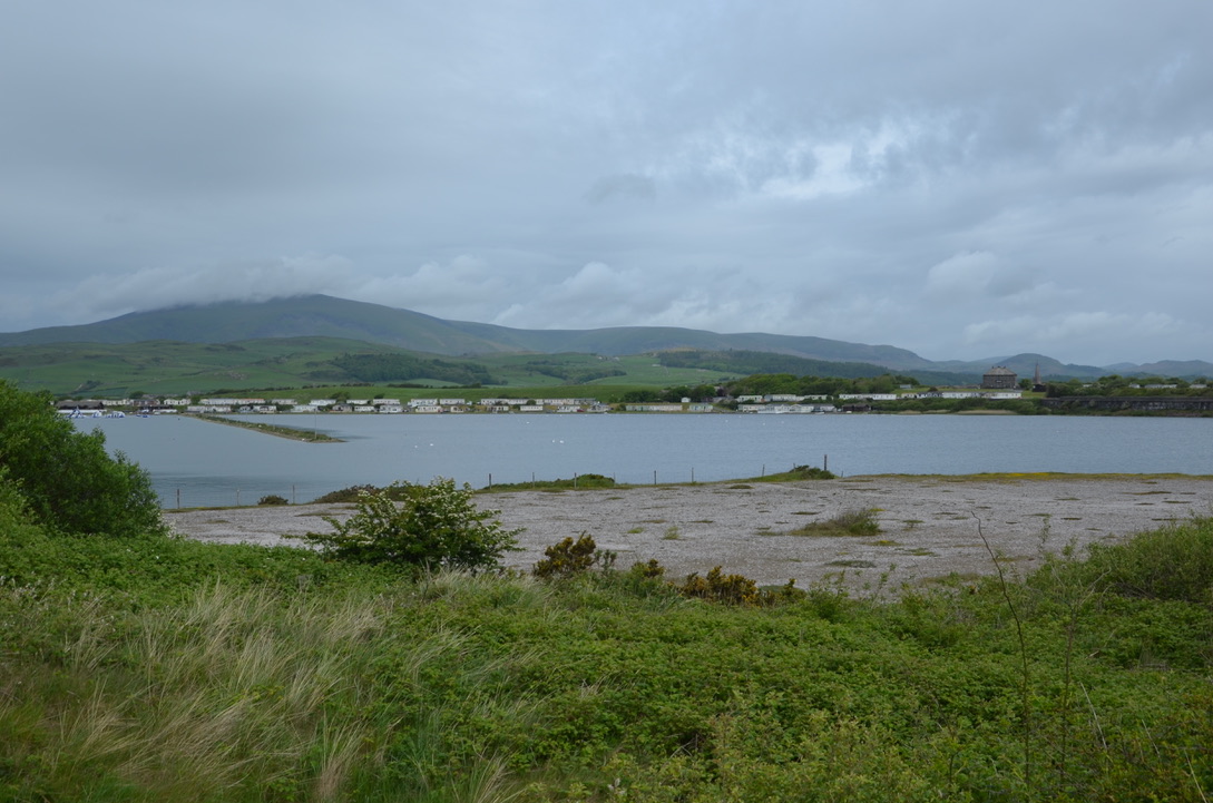 Observing the birds in Hodbarrow nature reserve – Millom,&nbsp;Cumbria
