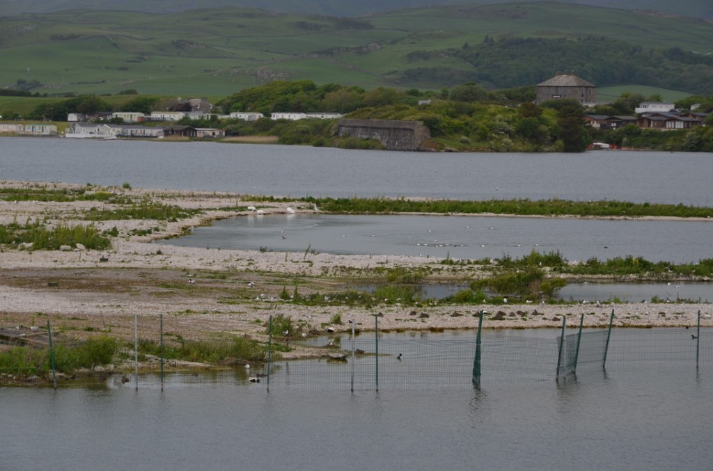 The lagoon of Hodbarrow reserve near Millom