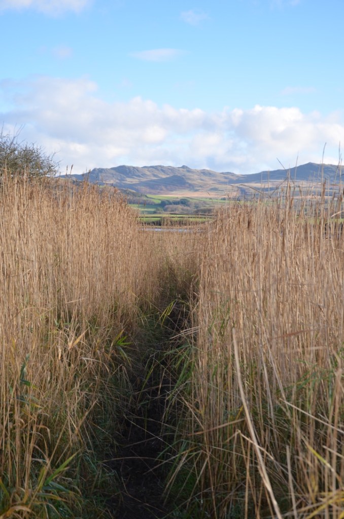 path along the shore of river Esk, Cumbria