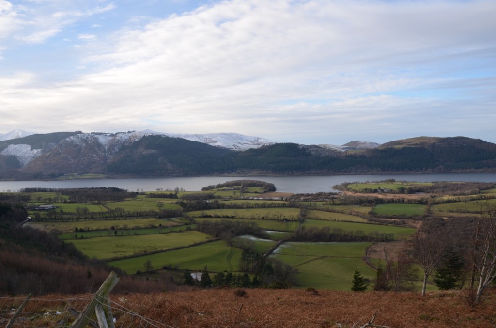 Bassenthwaite lake from Dodd forest