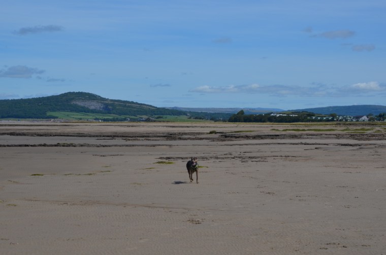 Morecambe bay