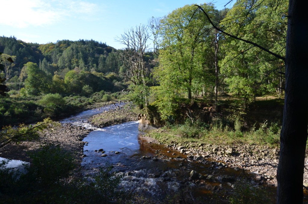 Allen Banks National Trust