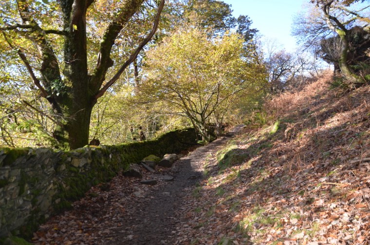 Coffin route, Grasmere, Lake District, Cumbria, 