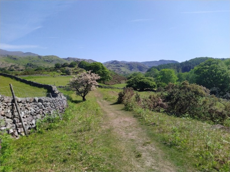 Towards Doctor Bridge, Eskdale, Cumbria