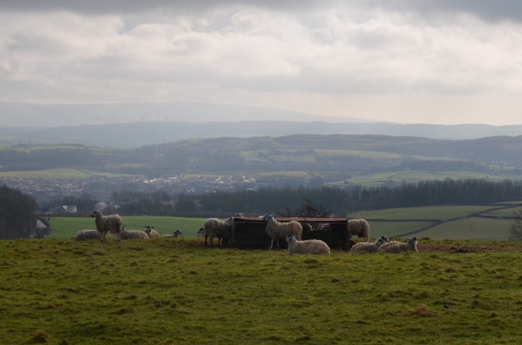 view of Kendal, Cumbria