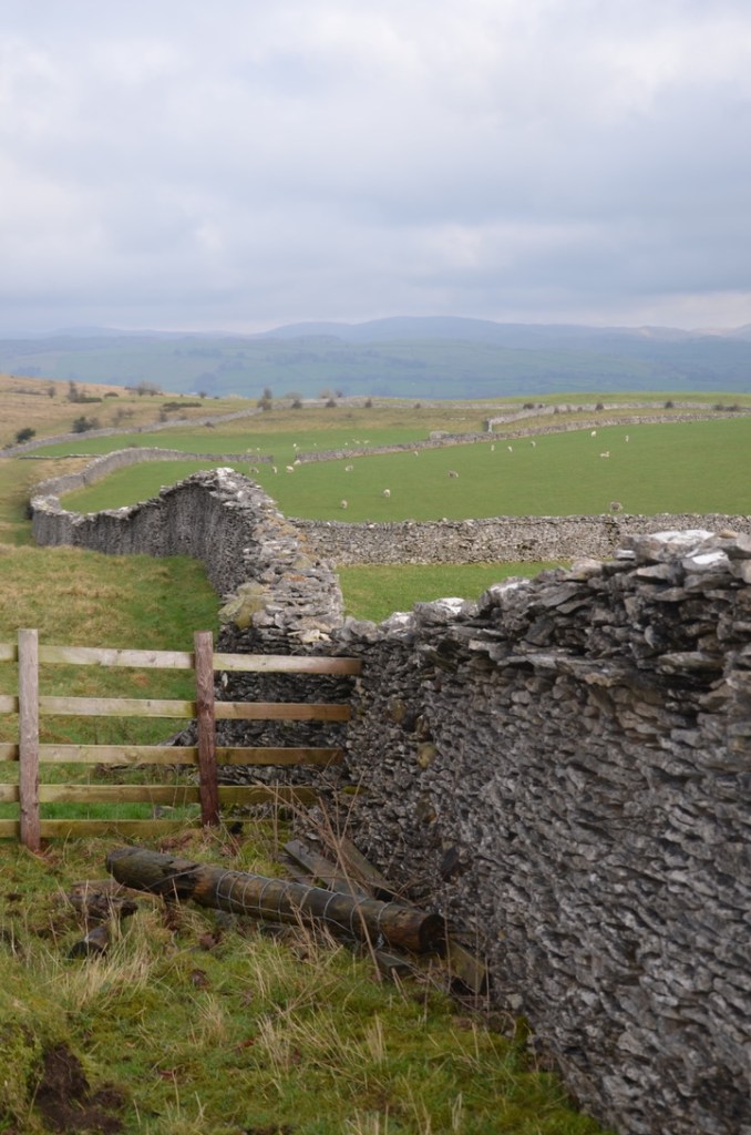 Cunswick Scar, Underbarrow- Lake District, Cumbria