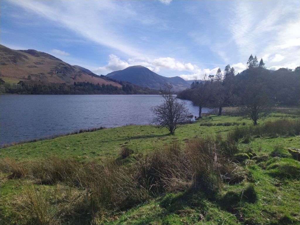 img_20240316_1101023218343145163769481