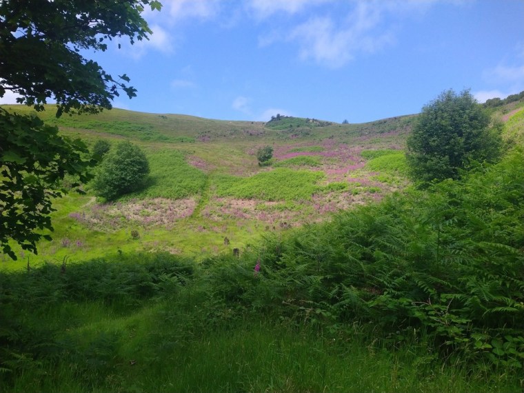 bottom of Latrigg, Cumbria