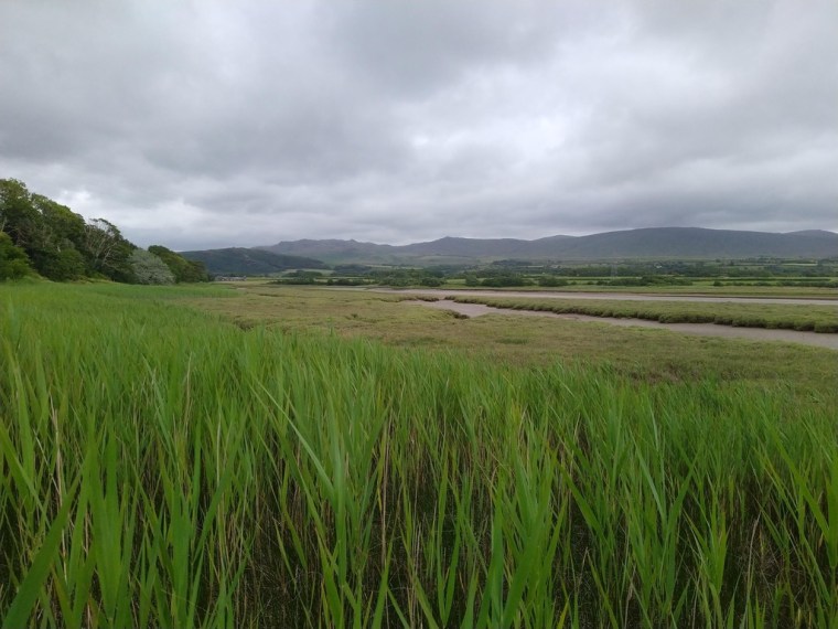 river Esk, Ravenglass, Cumbria
