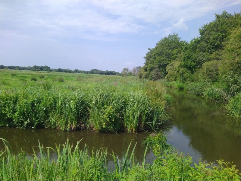 Randonnée dans les marais Fresnier depuis Savenay – Loire Atlantique,&nbsp;France