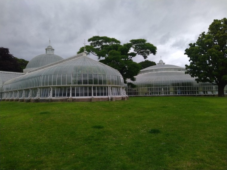 The glasshouse of Glasgow botanic garden