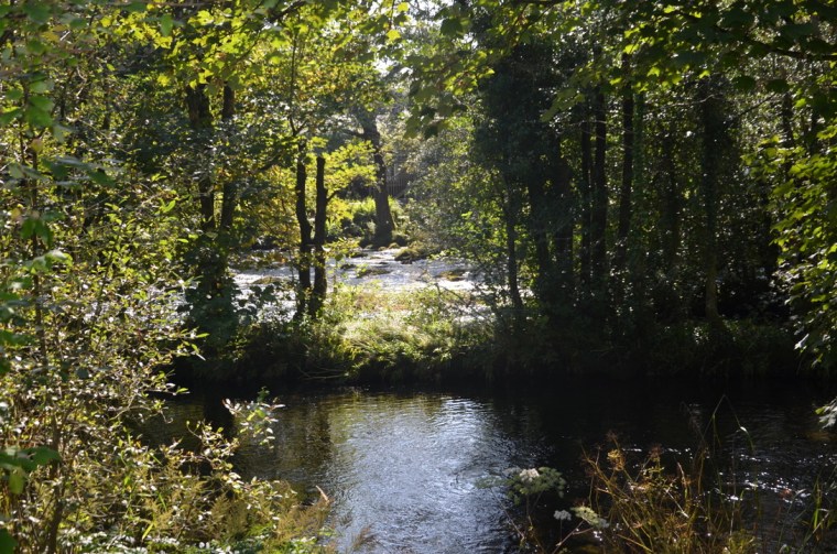 river brathay by Skelwith bridge, Cumbria