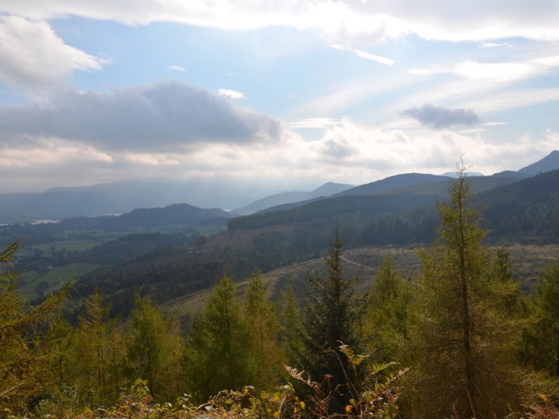Walk Seat How in Whinlatter forest, Lake District, Braithwaite,&nbsp;England
