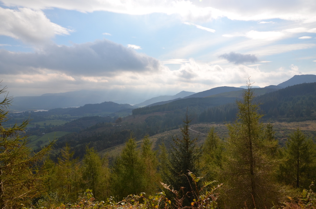 Walk Seat How in Whinlatter forest, Lake District, Braithwaite,&nbsp;England