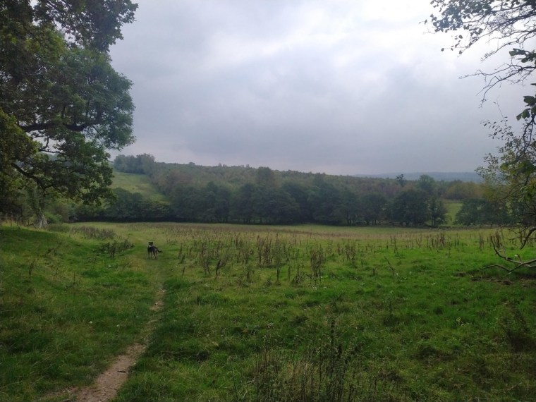 Along the Hadrian Wall, Cumbria