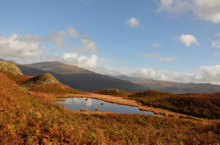 Lily tarn, Ambleside