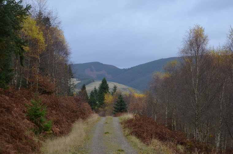 Peebles, Cardona forest