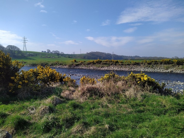 Derwent river, Cumbria