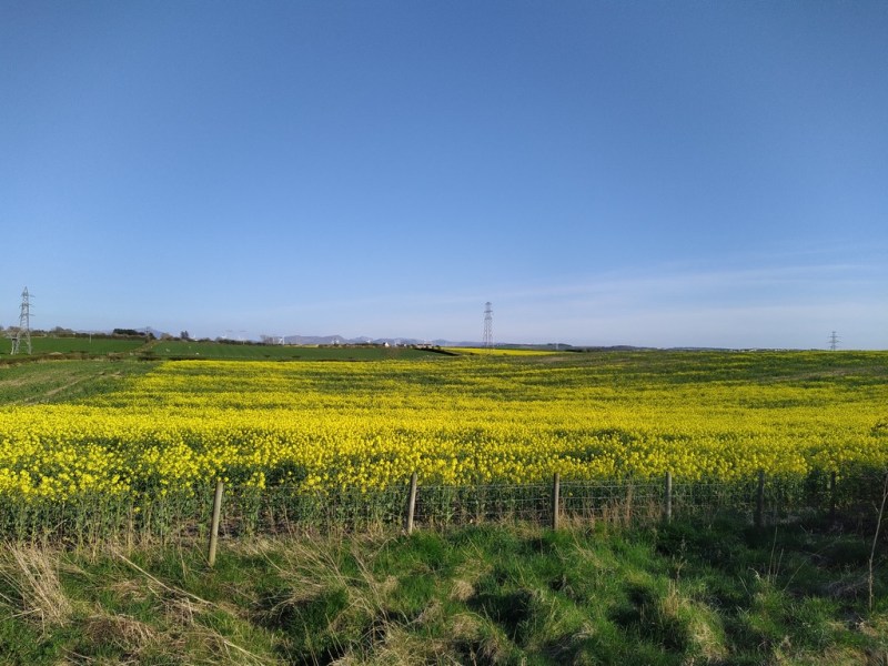 Two walks to discover Seaton and Camerton villages, Workington – Cumbria,&nbsp;England