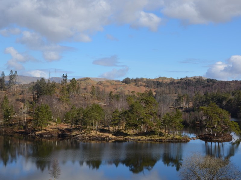 Walk Tarn Hows and Iron Keld Plantation – Coniston, Lake District,&nbsp;Cumbria