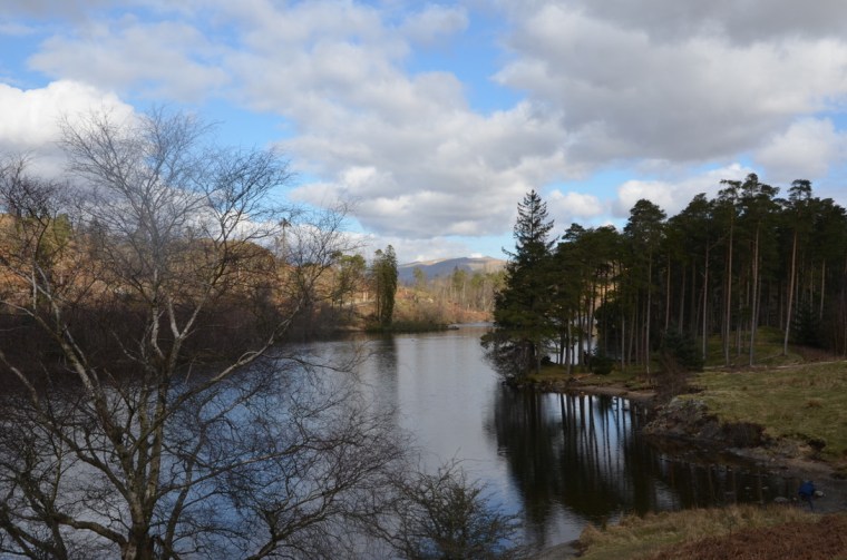 Tarn Hows, Coniston, Lake District, Cumbria