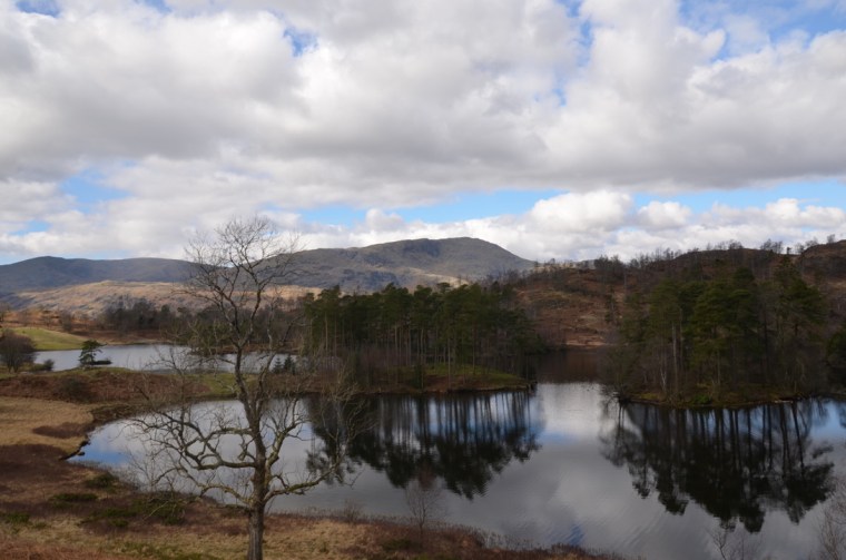 Tarn Hows, Coniston, Lake District, Cumbria